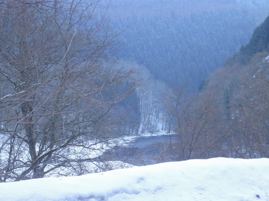 Gite Des Evets La-Roche-en-Ardenne Eksteriør bilde