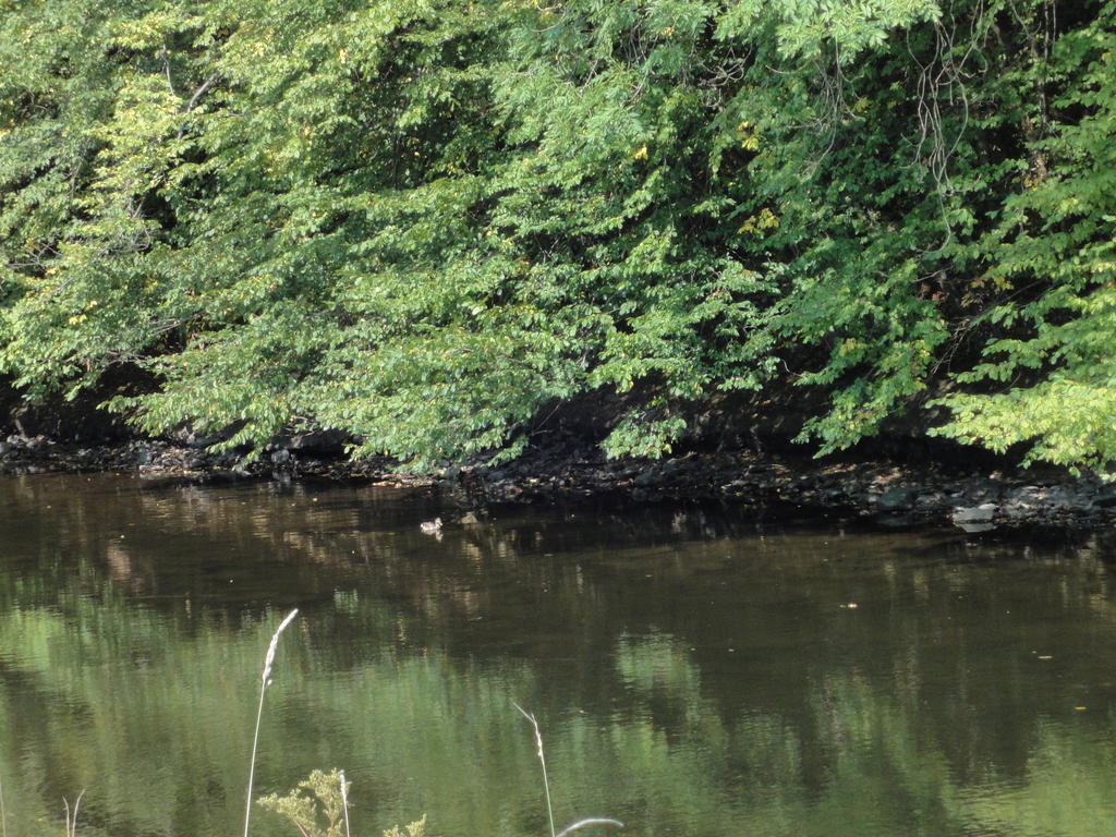 Gite Des Evets La-Roche-en-Ardenne Eksteriør bilde